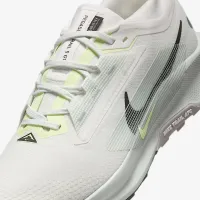 Nike Pegasus Trail 5 GORE-TEX чоловічі Waterproof Trail Running Кросівки колір білий