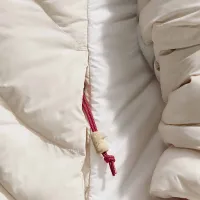 Nike ACG x United States Paralympic Team женская Therma-FIT ADV Куртка цвет коричневый