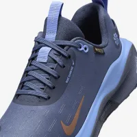 Nike InfinityRN 4 GORE-TEX женская Waterproof Road Running Кроссовки синий