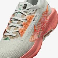 Nike Pegasus Trail 5 GORE-TEX женская Waterproof Trail Running Кроссовки цвет серый