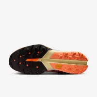 Nike Kiger 10 мужские Trail Running Кроссовки цвет коричневый