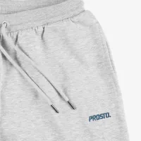 Штаны Prosto Zeeth KL242MPAN4062 - Серые