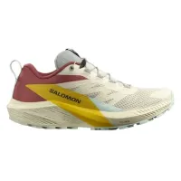 Кросівки для бігу Salomon SENSE RIDE 5 (472124)