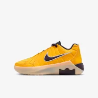 Nike LeBron Witness 9 Big дитячі баскетбольні Кросівки Yellow