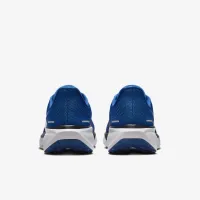 Nike Pegasus 41 NFL Indianapolis Colts чоловічі Road Running Кросівки блакитний