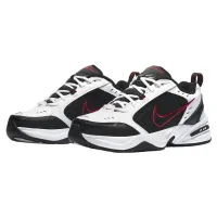 Кроссовки Мужские NIKE MONARCH IV (415445 101)