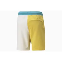 Шорты Puma Classics Block 53460465 - разноцветная