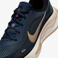 Nike Journey Run чоловічі Road Running Кросівки блакитний