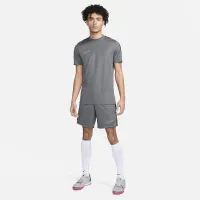 Nike Dri-FIT Academy чоловічі Dri-FIT Soccer шорти колір сірий