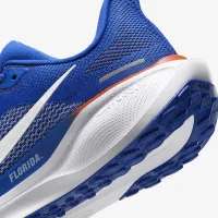 Florida Pegasus 41 чоловічі Nike College Road Running Кросівки блакитний