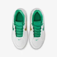Nike LeBron Witness 9 Big дитячі баскетбольні Кросівки колір білий