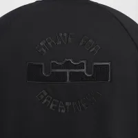 Nike LeBron Standard Issue мужские Therma-FIT баскетбольные Куртка цвет черный