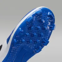 Nike Jordan 1 Retro MCS Low чоловічі бейсбольні бутси блакитний