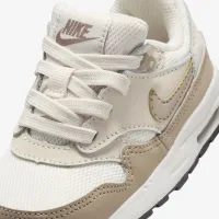 Nike Air Max 1 EasyOn Baby/Toddler Кросівки колір сірий
