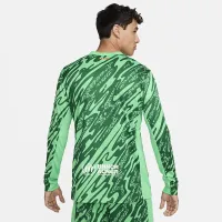 FC Barcelona 2024/25 Stadium Goalkeeper чоловічі Nike Soccer Replica Long-Sleeve Jersey колір зелений