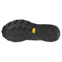 Кроссовки для бега w terenie Mizuno WAVE DAICHI 9 GTX (J1GJ255601)
