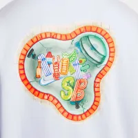 Nike SB Fleece Front-Zip Skate Толстовка з капюшоном колір сірий