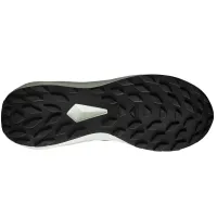 Кроссовки для бега Мужские SALOMON ALPHAGLIDE (478010)