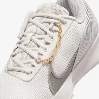 NikeCourt Vapor Pro 2 Premium мужские Hard Court Tennis Кроссовки цвет серый