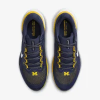 Michigan Pegasus 41 чоловічі Nike College Road Running Кросівки блакитний