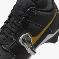 Nike Alpha Menace Dunk мужские Football Cleats цвет черный