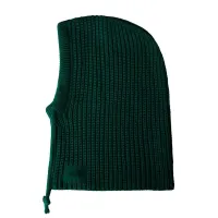 Kaptur The North Face Urban Lifestyle 0A88QZNL11 - зелений