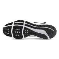 Кросівки Nike AIR ZOOM PEGASUS 39 FLYEASE (DJ7381 001)