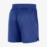 Philadelphia 76ers чоловічі Nike NBA Mesh шорти блакитний