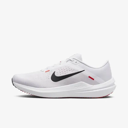 Nike Winflo 10 чоловічі Road Running Кросівки колір білий