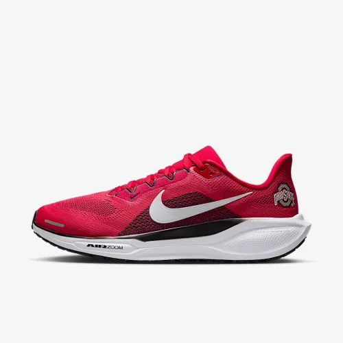 Ohio State Pegasus 41 мужские Nike College Road Running Кроссовки цвет красный