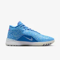 Nike LeBron NXXT Genisus баскетбольные Кроссовки синий