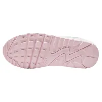 Обувь NIKE AIR MAX 90 LTR GS (CD6864 121)
