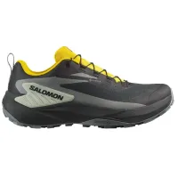 Кроссовки Мужские SALOMON GENESIS GTX Gore-Tex (479780)