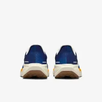 Nike Pegasus 41 чоловічі Road Running Кросівки блакитний