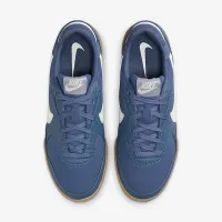 Nike Terra Manta жіноча Кросівки блакитний