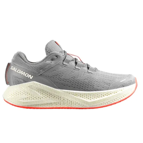 Кросівки для бігу Чоловічі Salomon AERO GLIDE 3 (478106)