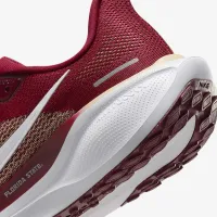 Florida State Pegasus 41 чоловічі Nike College Road Running Кросівки колір червоний
