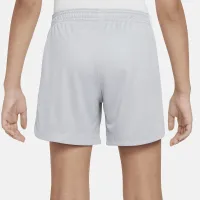 Nike Dri-FIT Academy23 Big детские (Girls') Soccer шорты цвет серый