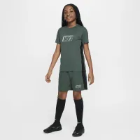 Nike Dri-FIT Academy Big детские Soccer шорты цвет зеленый