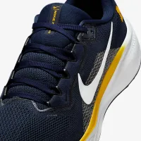 Michigan Pegasus 41 мужские Nike College Road Running Кроссовки синий