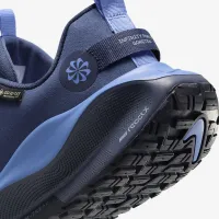 Nike InfinityRN 4 GORE-TEX женская Waterproof Road Running Кроссовки синий