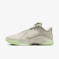 Nike LeBron XXII баскетбольні Кросівки колір сірий