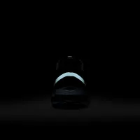 Nike Pegasus Premium мужские Road Running Кроссовки цвет серый