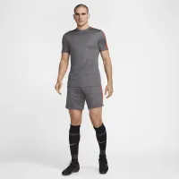 Nike Dri-FIT Academy чоловічі Dri-FIT Soccer шорти колір сірий