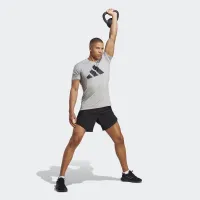 Футболка adidas Train Essentials Feelready Logo тренировочные IB8276 - Серая