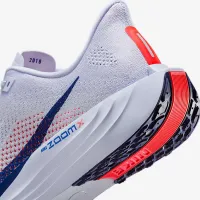 Nike Pegasus Plus чоловічі Road Running Кросівки колір сірий