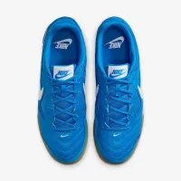 Nike Gato чоловічі Кросівки блакитний