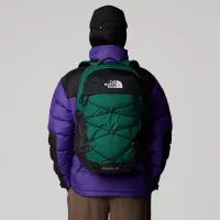 Рюкзак The North Face Borealis 0A52SES9W1 - зеленый