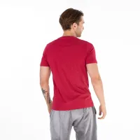 Футболка Alpha Industries Basic футболка 100501523 - Красная
