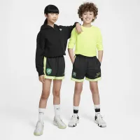 Nike Giannis DNA Big дитячі Dri-FIT баскетбольні шорти колір сірий